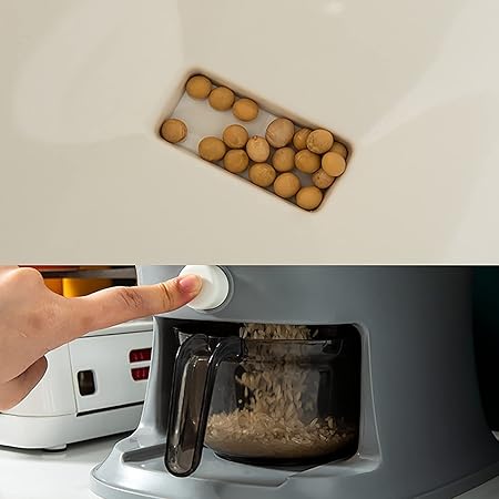 Rice Dispenser Box 20lbs